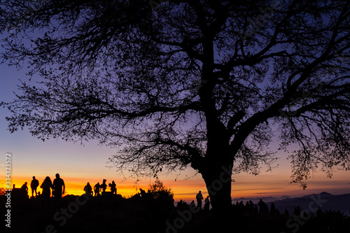 Silueta de árbol y silueta de grupo de personas en amanecer en la montaña