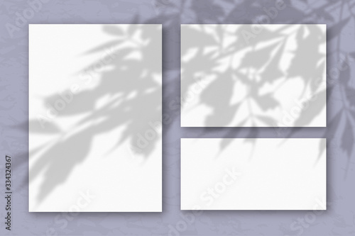 Several horizontal and vertical sheets of white textured paper against a gray wall. Mockup overlay with the plant shadows. Natural light casts shadows from the tree s foliage