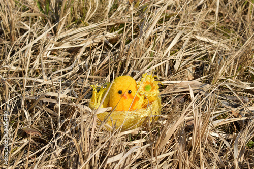 chicken in the nest, Easter gift, Easter