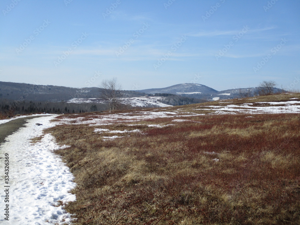 Fototapeta premium Midcoast Maine trail