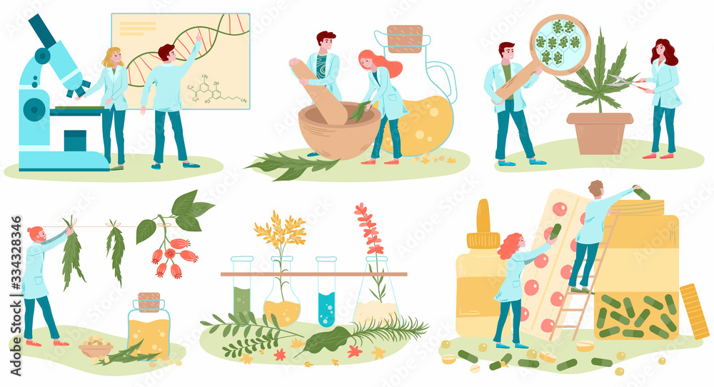 Homeopathy and natural alternative medicine, herbal medical treatment and homeopaths medics set of flat isolated on white vector illustrations. Homeopathic oils production, healing herbs treatment.