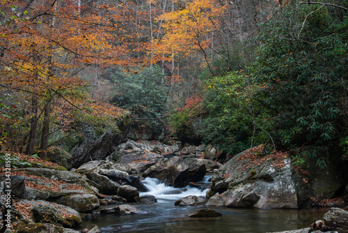Fall along the Creek