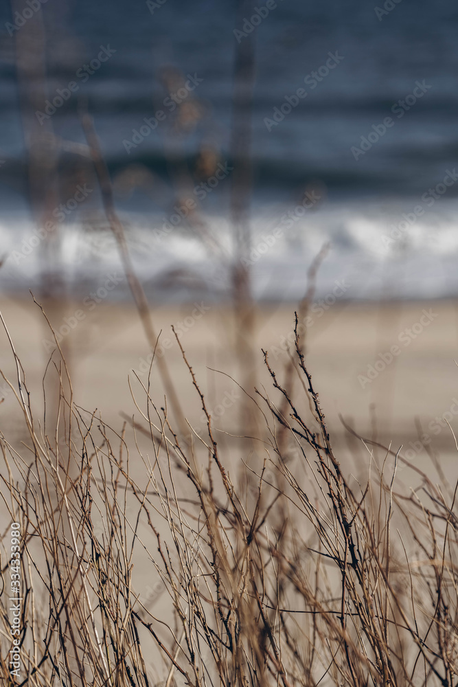 Atlantic Ocean beach with strong waves. Long Island New York shore. Blue sky with blue ocean. Atlantic Ocean beach with strong waves. Long Island New York shore. Blue sky with blue ocean.