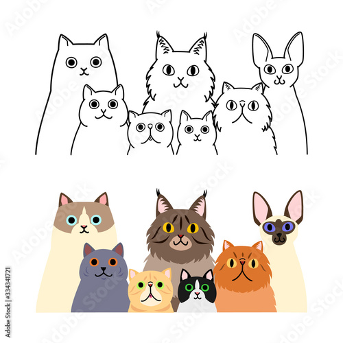 cats group set