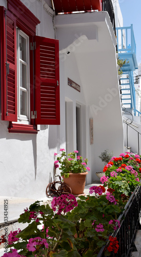 house with flowers