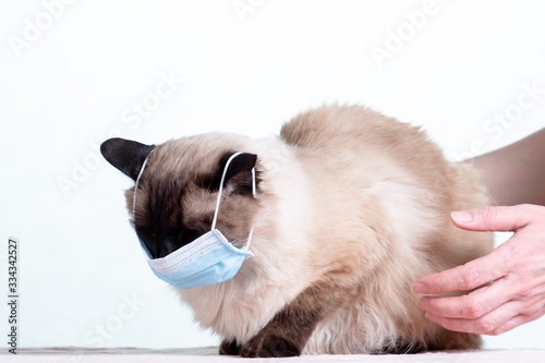 Mask coronavirus covid 19 flu, covid-19.