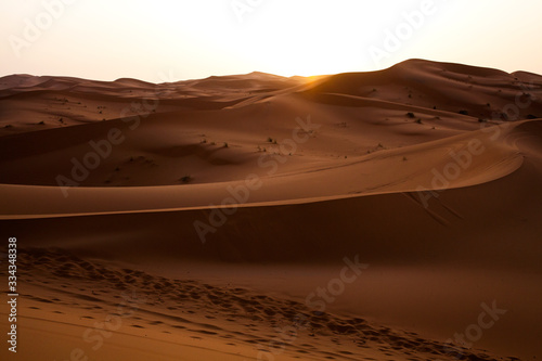 Fototapeta Naklejka Na Ścianę i Meble -  Landscape photography of the Sahara desert's sand dunes during sundawn, a peacefull wallpaper