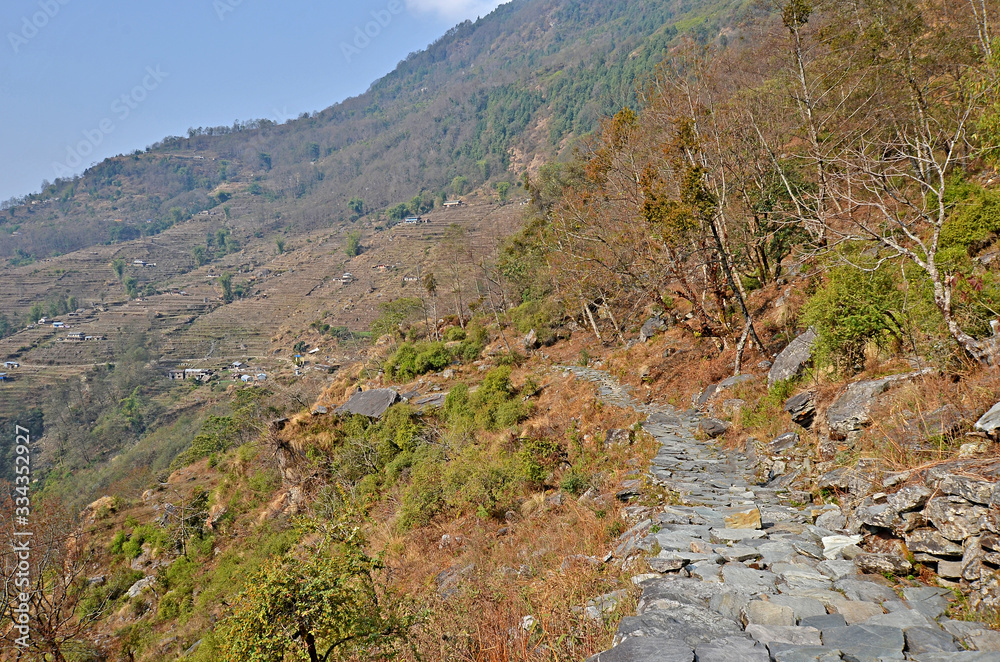 Beautiful landscapes on the track to Ghandruk village. Himalayas mountains, Nepal.