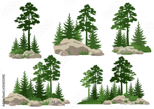 Set Landscapes, Isolated on White Background Silhouettes Coniferous and Deciduous Trees and Grass on the Rocks. Vector photo