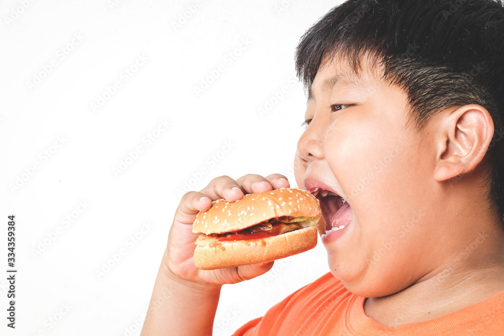 Asian fat boy eats hamburgers. Food concepts that cause children's physical health problems Causing easy diseases such as obesity. White background. isolated. copy space