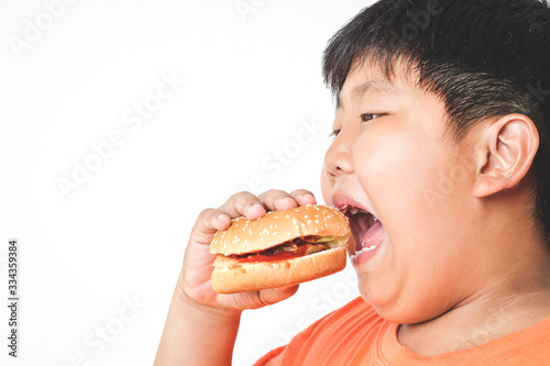 Asian fat boy eats hamburgers. Food concepts that cause children s physical health problems Causing easy diseases such as obesity. White background. isolated. copy space