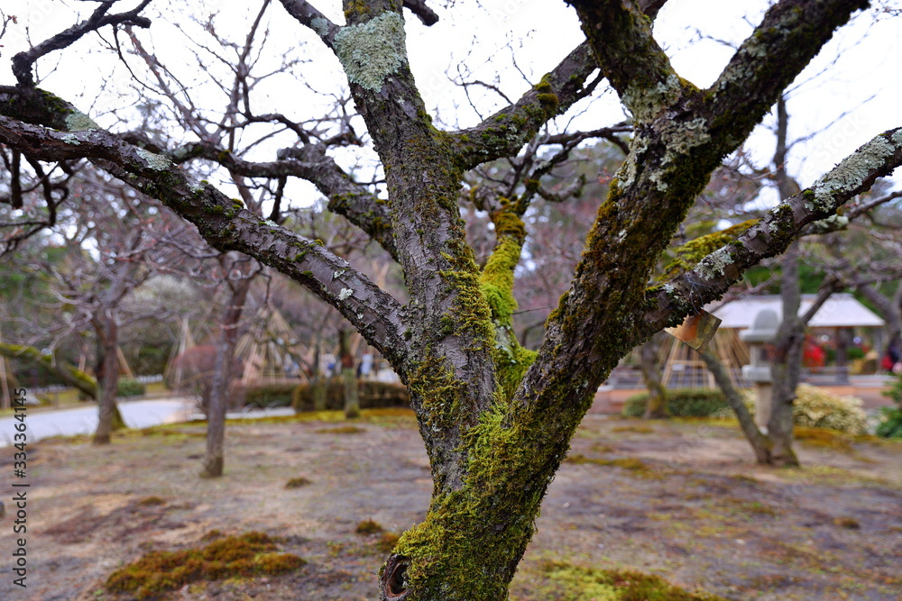 Obraz premium Kenroku-en located in Kanazawa, Ishikawa, Japan, one of the Three Great Gardens of Japan.