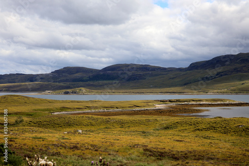 (Scotland, UK - August 11, 2018: Typical landscape of Scotland, Scotland, Highlands, United Kingdom