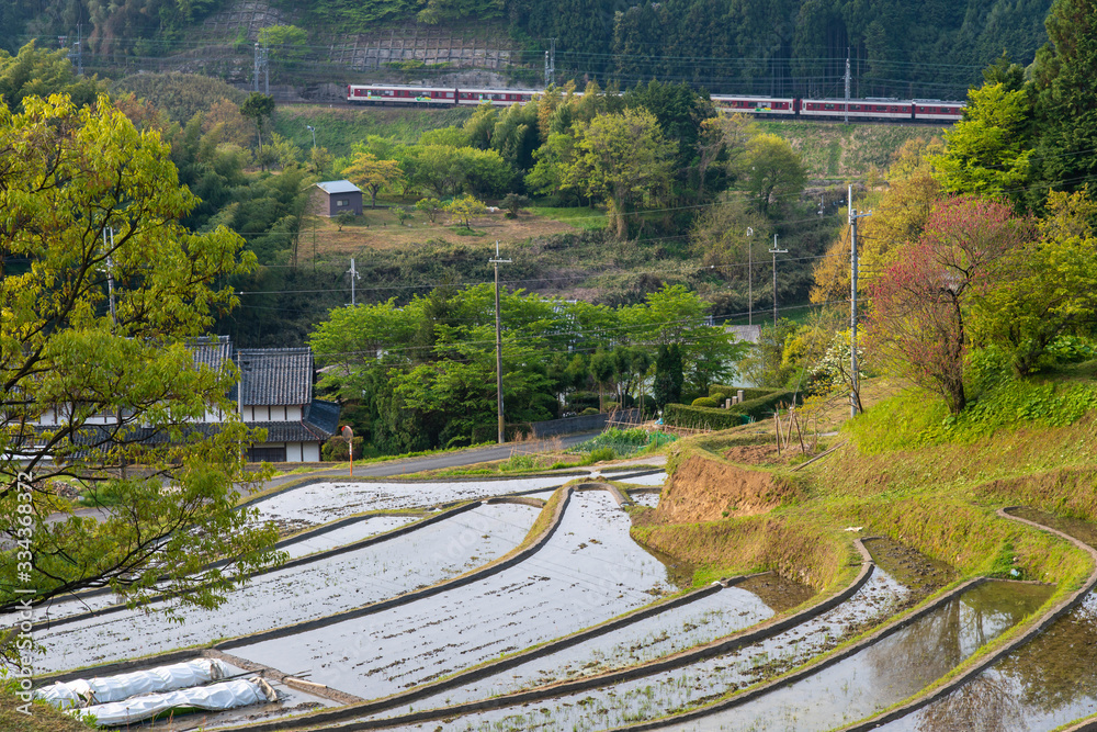 日本の農村の斜面に作られた水田