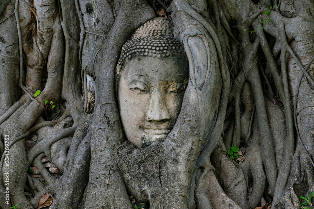 buddha statue in ayutthaya thailand