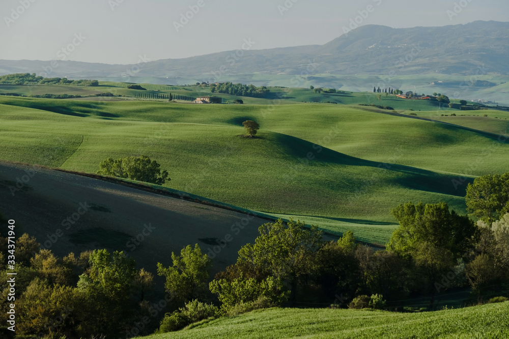 Beautiful morning Tuscany landscape in May. Green panoramic perspective hills. Countryside farm, cypresses trees, fields, sun light and cloud. Italy, Europe.