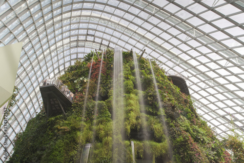 Waterfall in the Cloud Forest Dome at Garden by the bay