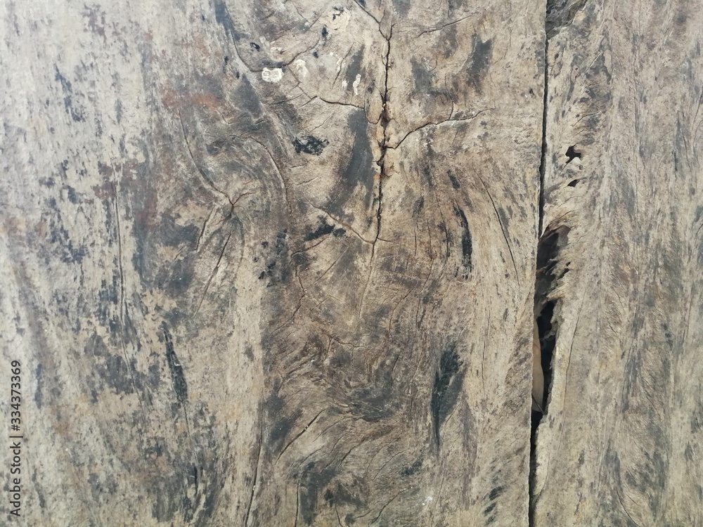 Fototapeta premium texture of wood background 