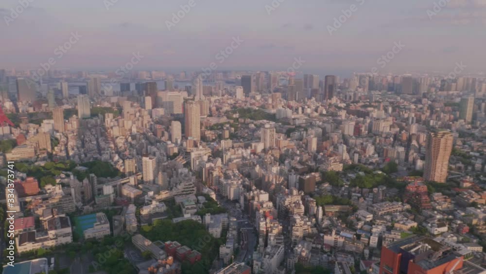 Beautiful Cityscape of Tokyo, Japan with the Tokyo Tower in the centre of the frame while golden hour Beautiful Cityscape of Tokyo, Japan with the Tokyo Tower in the centre of the frame while golden hour