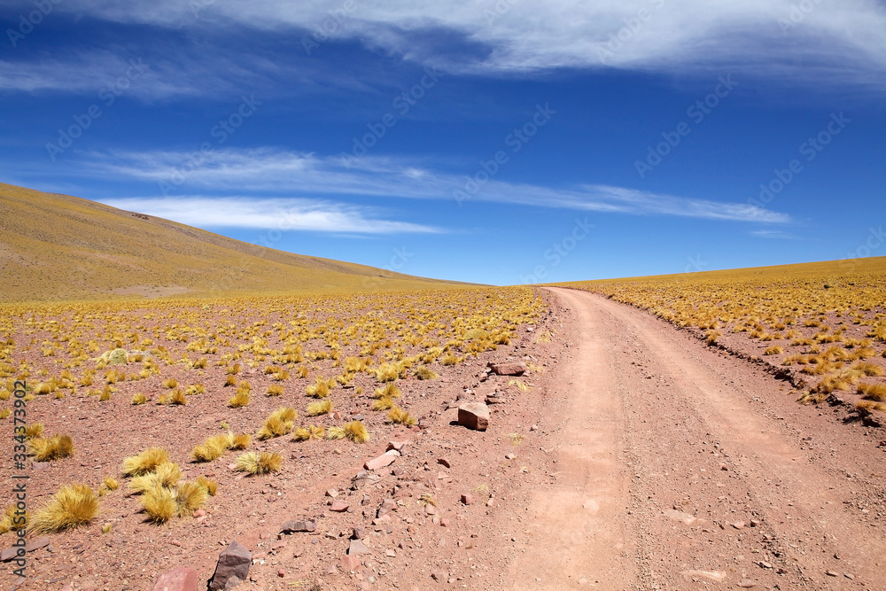 Road and Peruvian feathergrass in the Puna de Atacama, Argentina