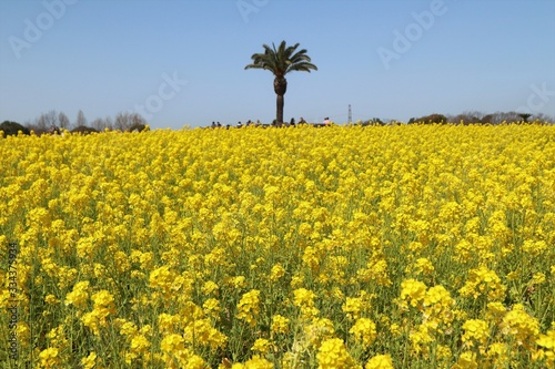 和泉リサイクル環境公園