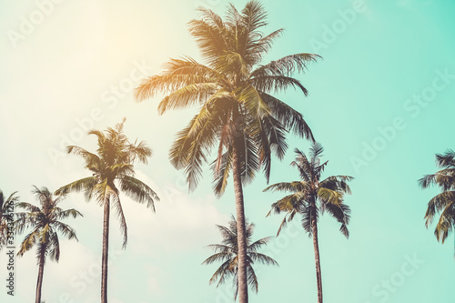Fototapeta Naklejka Na Ścianę i Meble -  Tropical palm coconut trees on sunset sky flare and bokeh nature.