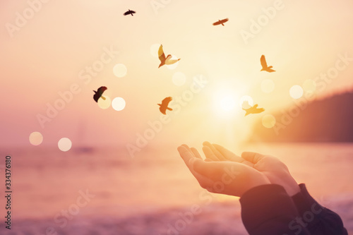 Sticker Woman hands place together like praying in front of nature blur beach and birds fly with sunset sky freedom concept