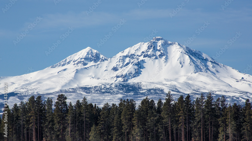 Snow covered mountain range with pine trees in forefront, blue sky