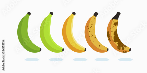 Set Images Bananas skin Varying Degrees maturity. the evolution progress of banana vector icon illustration