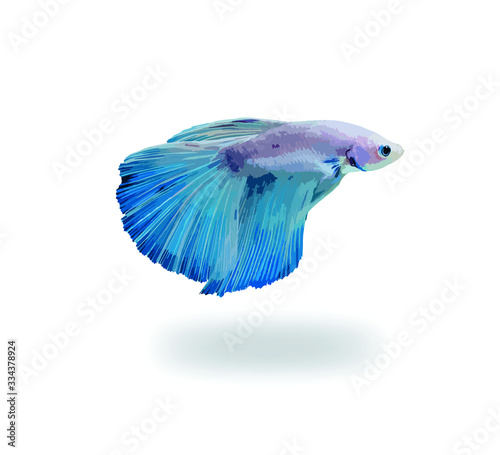 blue fish on white background
