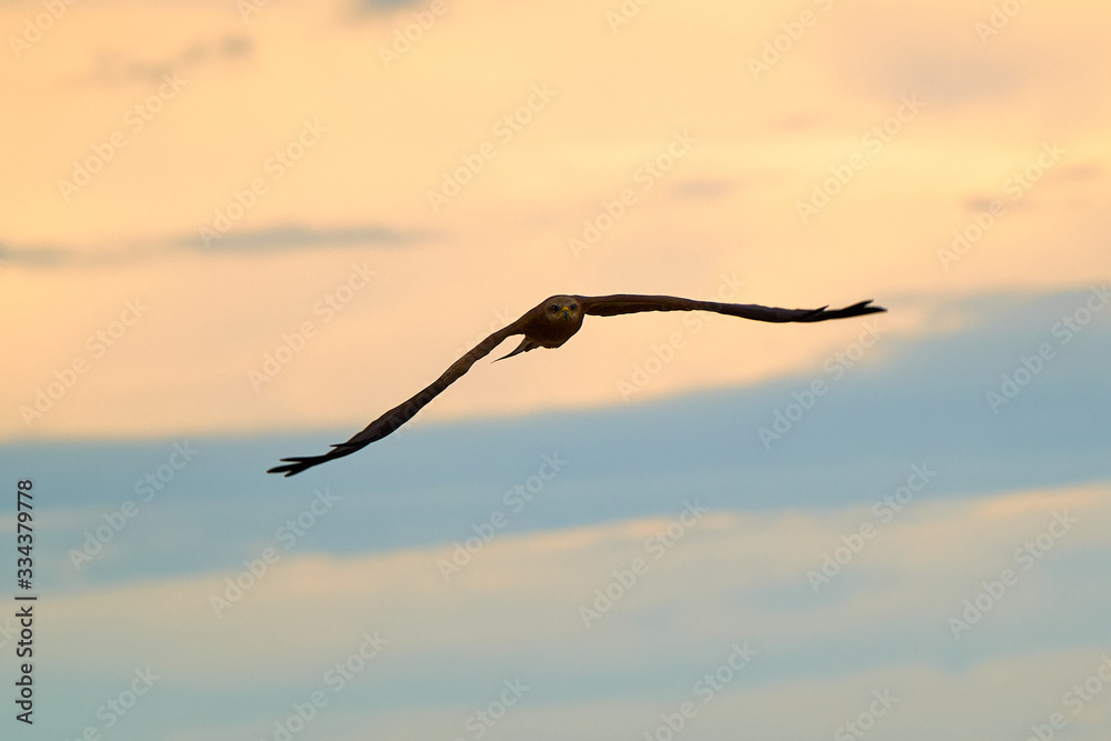 Obraz premium Darwin NT Australia