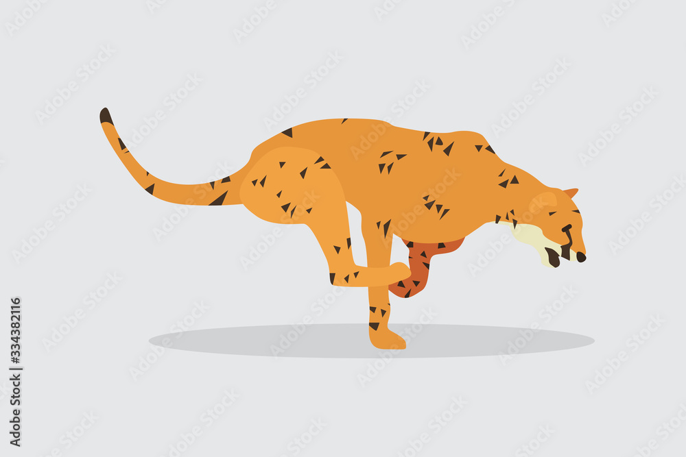 Fototapeta premium Cartoon cheetah. Cute Cartoon cheetah, Vector illustration on a white background. Drawing for children.