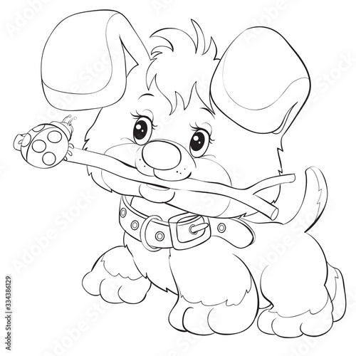 Cartoon style little puppy playing with a stick on which a ladybug is sitting, drawn in outline, isolated object on a white background, vector illustration, EPS