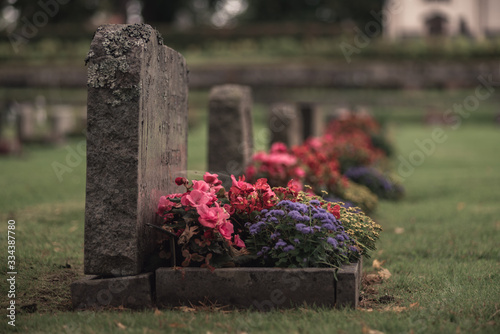 Row of grave stones with beautiful and colorful flowers