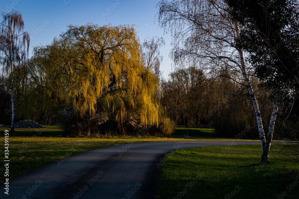 road in autumn