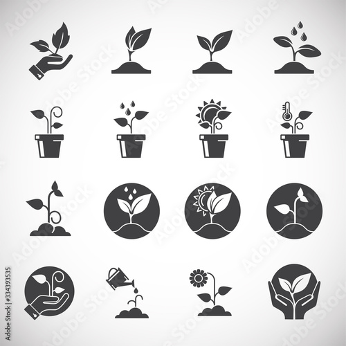 Seed related icons set on background for graphic and web design. Creative illustration concept symbol for web or mobile app