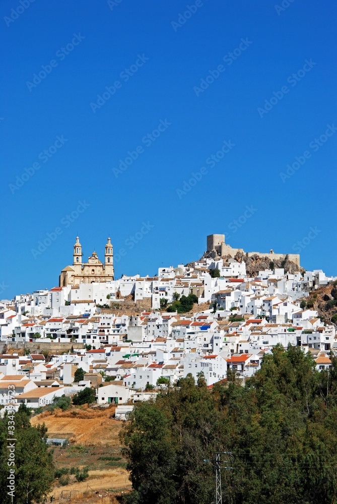View of white town with farmland in the foreground, Olvera, Spain.