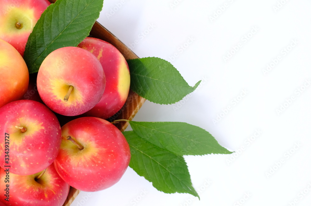 New Zealand apple on white background