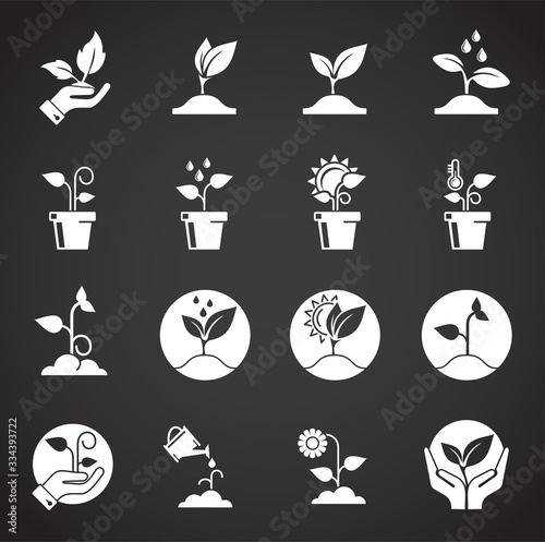Seed related icons set on background for graphic and web design. Creative illustration concept symbol for web or mobile app