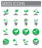 Seed related icons set on background for graphic and web design. Creative illustration concept symbol for web or mobile app