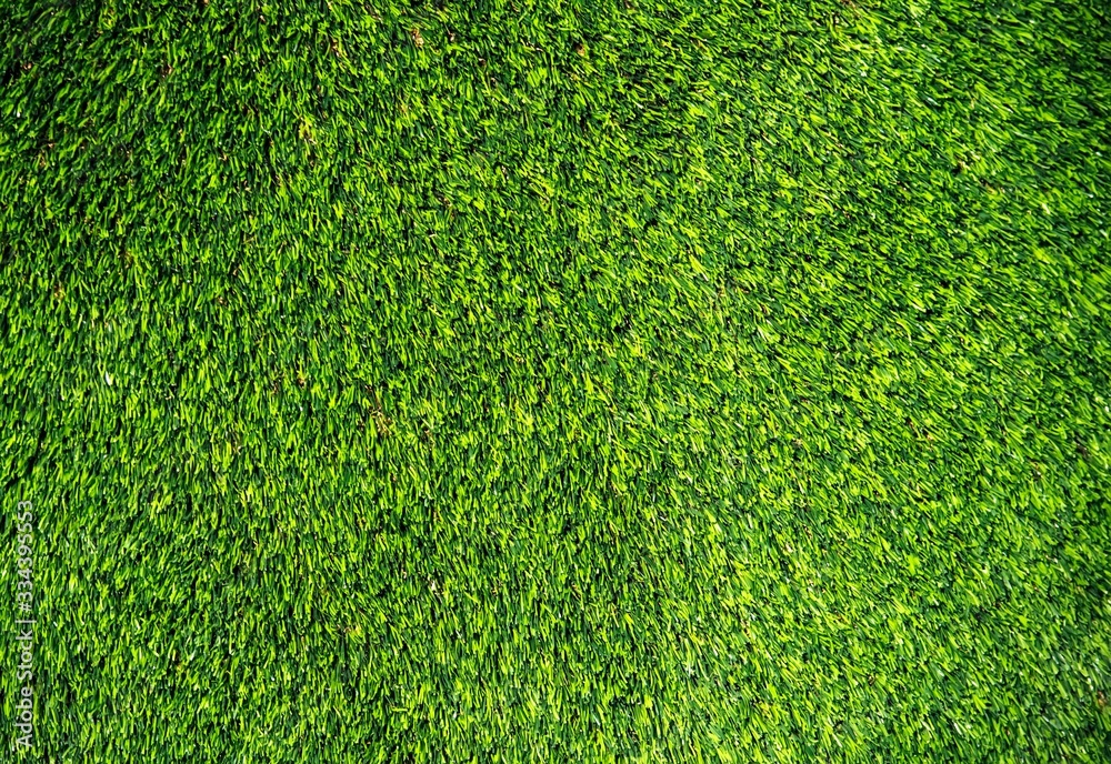 Fototapeta premium Green texture of artificial grass