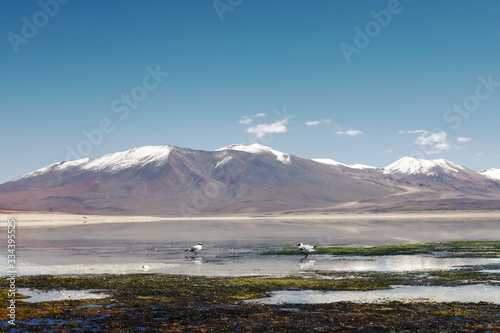 White lagoon in Uyunu, Bolivia