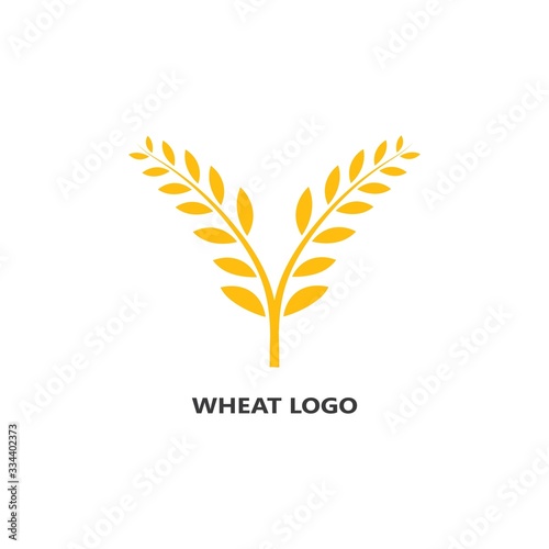 Agriculture wheat Logo Template vector icon