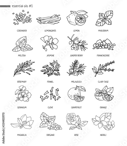 Set of decorative plants, flowers for essential oils. Black and white hand-drawn objects for aromatherapy on a white background. Alternative medicine medicine and cosmetology. Vector illustration
