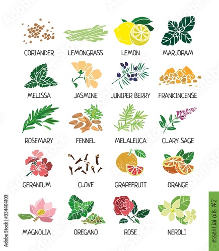 Color decorative set of essential oil plants. Plants for treatment by alternative methods, cosmetics, store, spa, health care, aromatherapy, homeopathy, Ayurved. Cute cartoon vector illustration