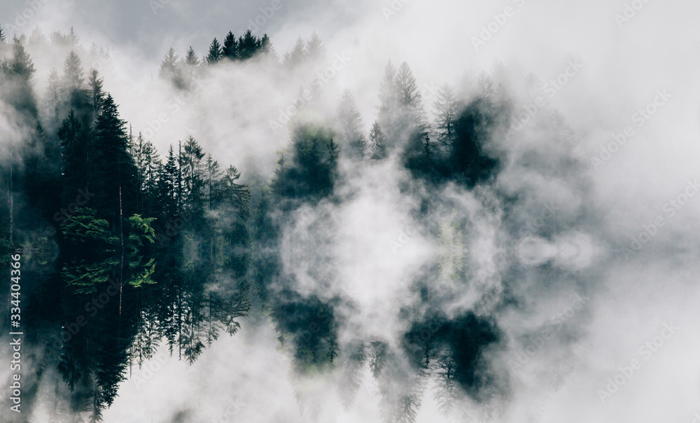 Abstract image with foggy forest that looks like sound-waves. 