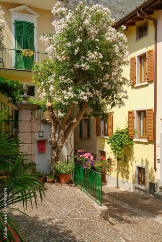 Fototapeta Naklejka Na Ścianę i Meble -  Flowery streets of Limone, Lake Garda