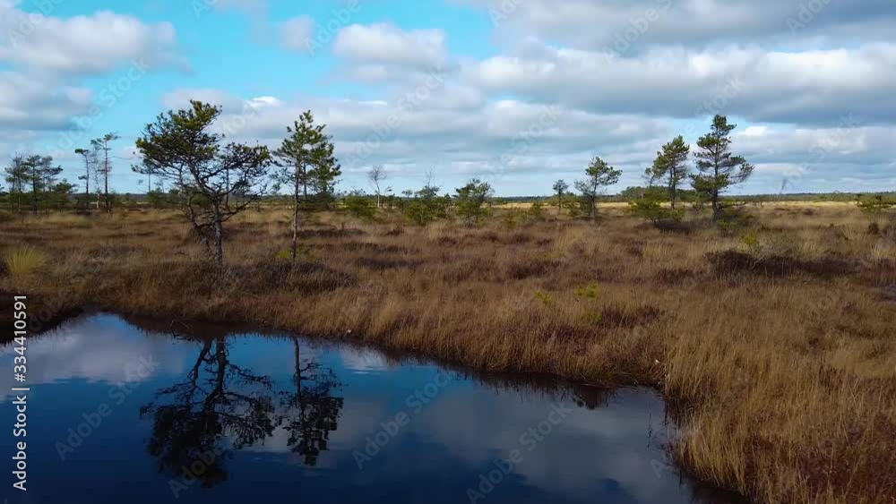 Aerial view of Dunika peat bog (mire) with small ponds in sunny spring (autumn) day with clouds, wide low angle drone shot moving backwards Aerial view of Dunika peat bog (mire) with small ponds in sunny spring (autumn) day with clouds, wide low angle drone shot moving backwards