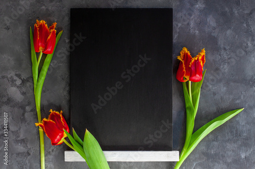 Black chalk board mockup with red tulip flowers on dark grey concrete background. Blackboard menu easel.Copy space text content price, sales adding. Blank template inscription.Education school display