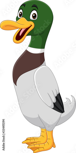 Cute duck cartoon on white background